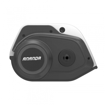 Ananda M81 48V 350W 28"