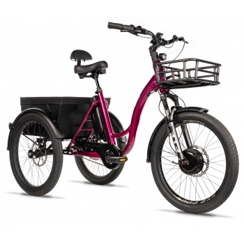 LEADER FOX Tricycle Curtis K25