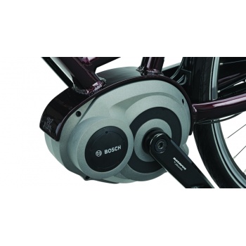 Silnik BOSCH Active Line 250W